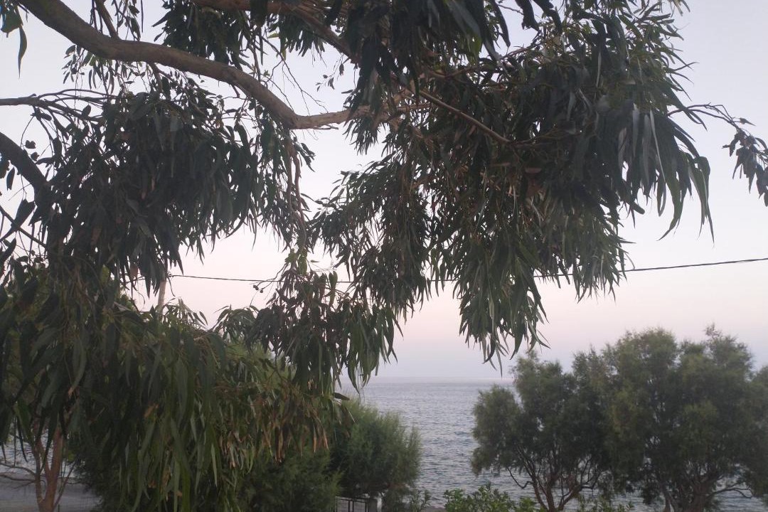 Photo of Outdoor in Keratokambos