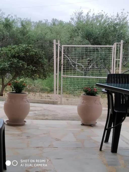 Photo of Patio Balcony in Papadhianika