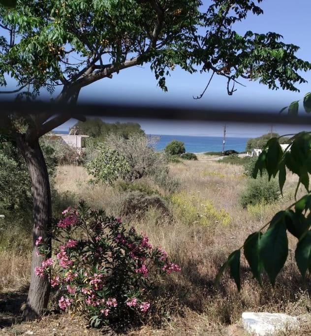 Photo of Outdoor in Papadhianika