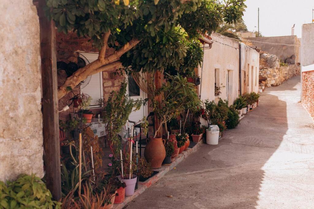 Photo of Buildings in Sitia