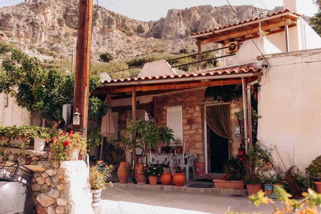 Photo of Buildings in Sitia