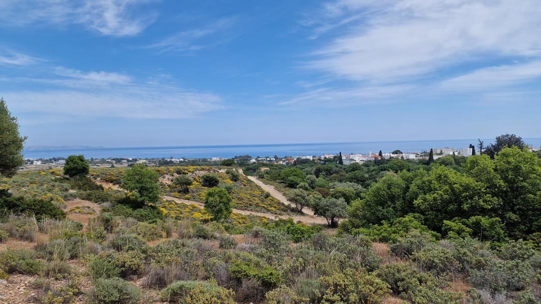 Photo of Outdoor in Gennadi