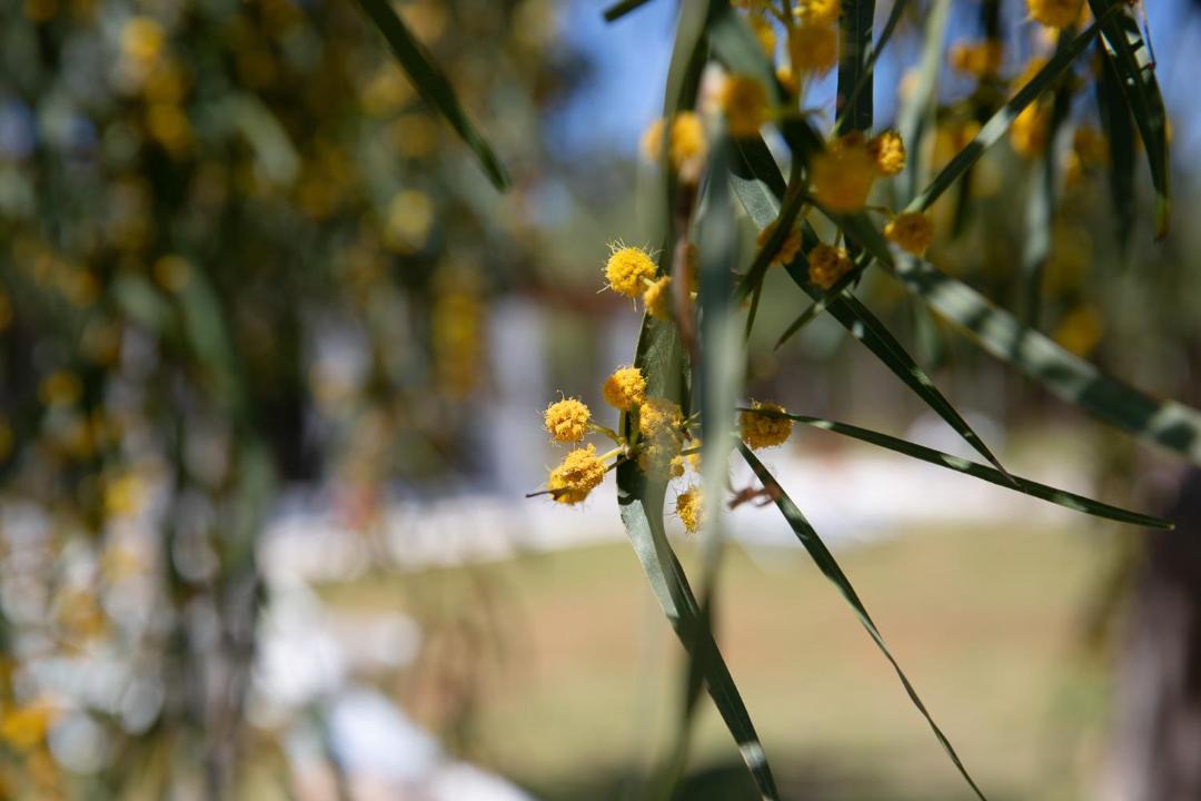 Photo of Outdoor in Chalikounas