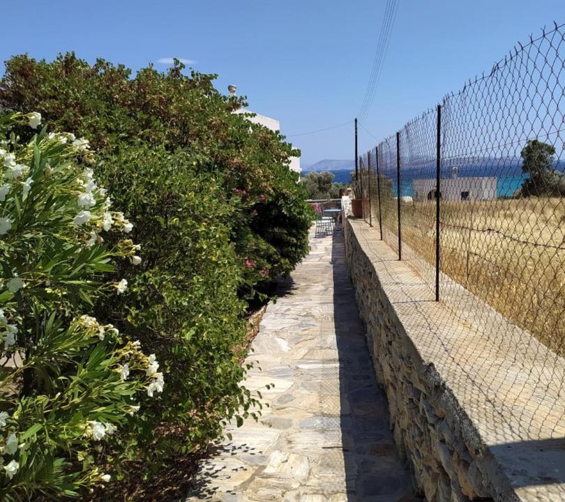 Photo of Others in Naxos