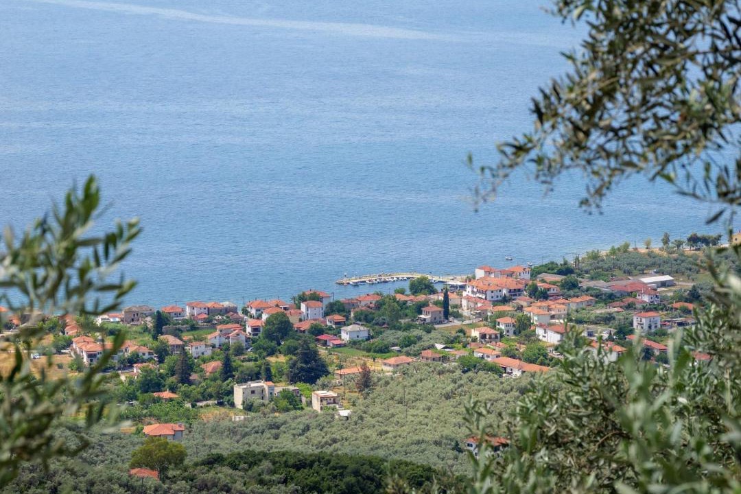 Photo of Others in South Pelion