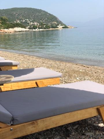 Photo of Outdoor in Marathon
