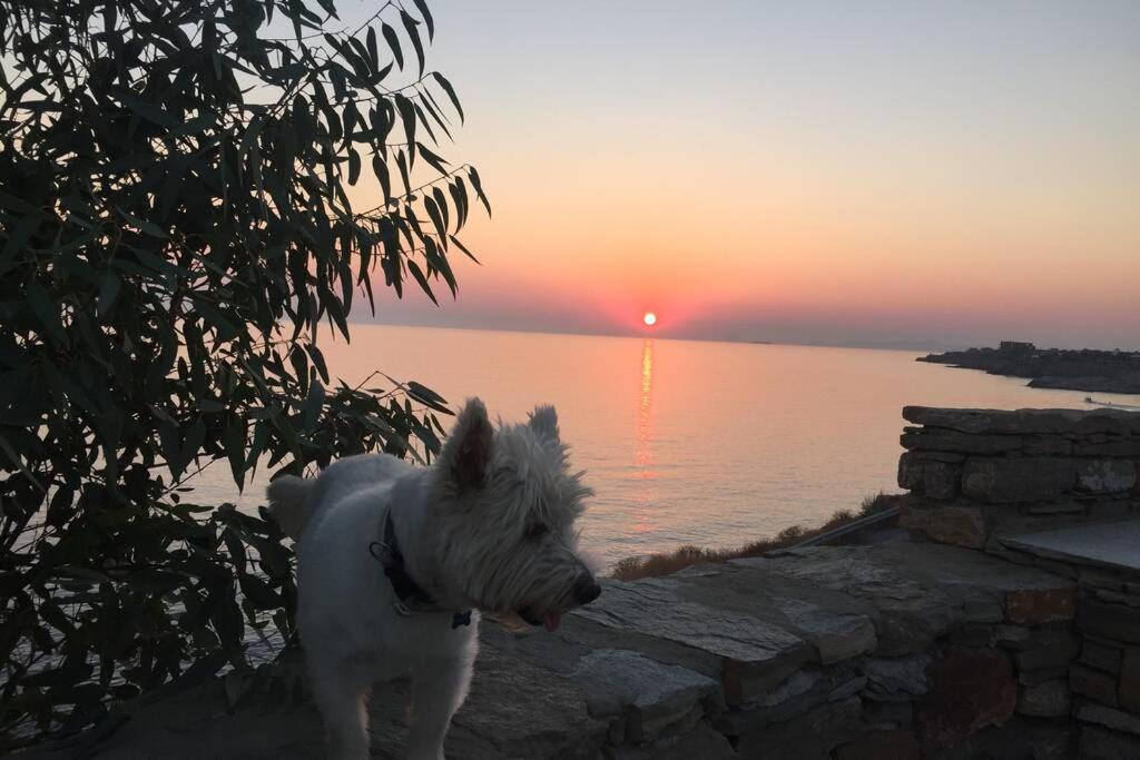 Photo of Others in Koundouros