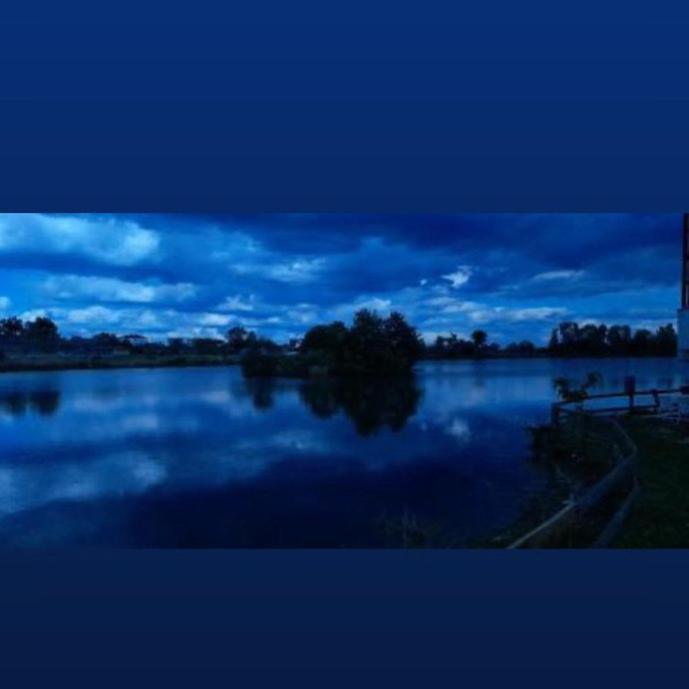 Photo of Others in Tychero