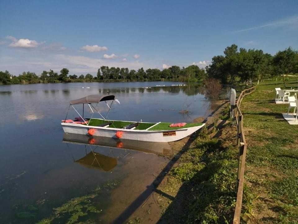 Photo of Others in Tychero