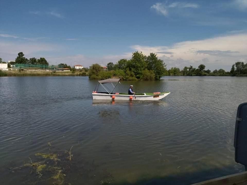 Photo of Others in Tychero