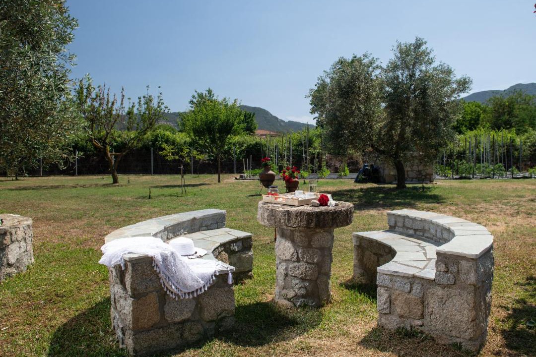 Photo of Others in Sikia