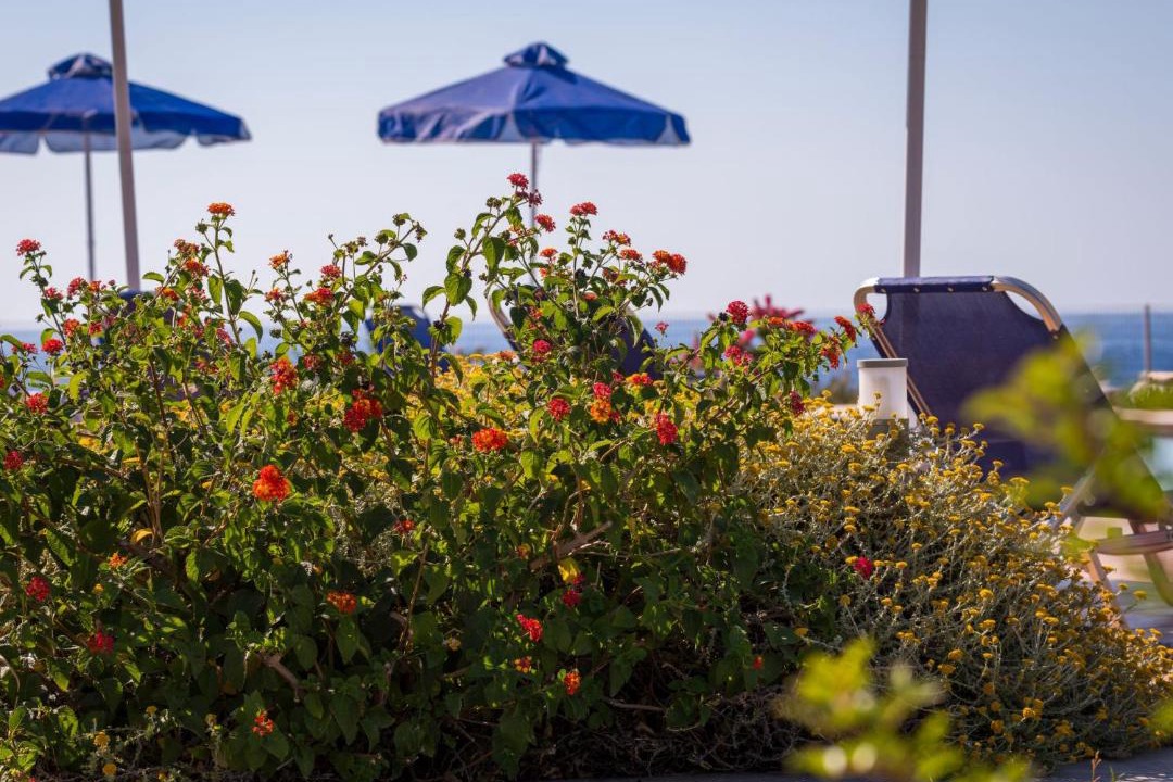 Photo of Outdoor in Stavros
