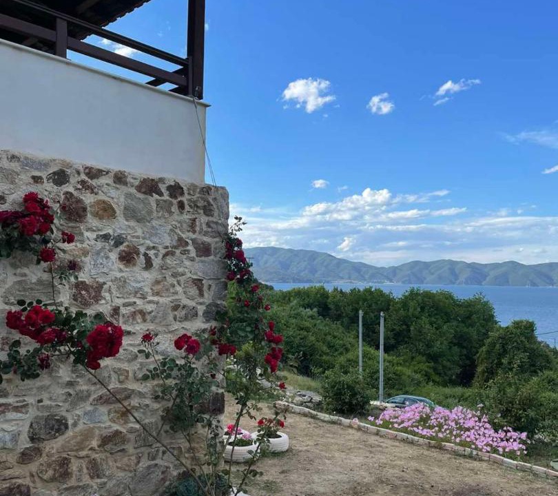 Photo of Others in Aristotelis