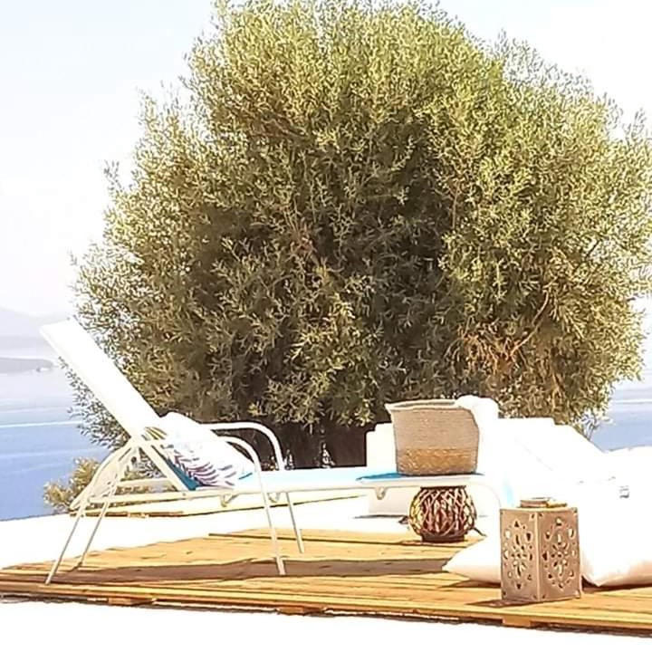 Photo of Others in Sivota