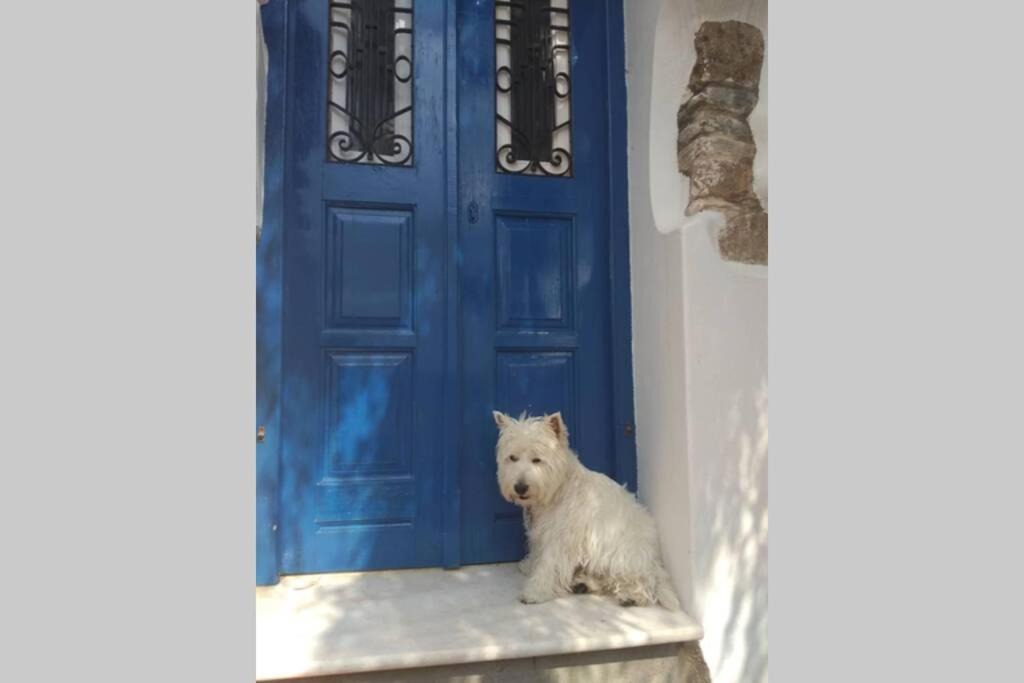 Photo of Others in Galini
