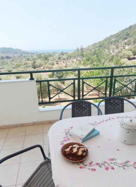Photo of Patio Balcony in Potos