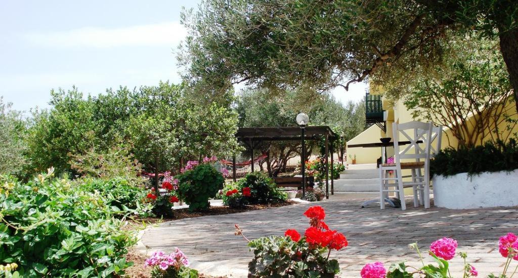 Photo of Others in Ammoudara