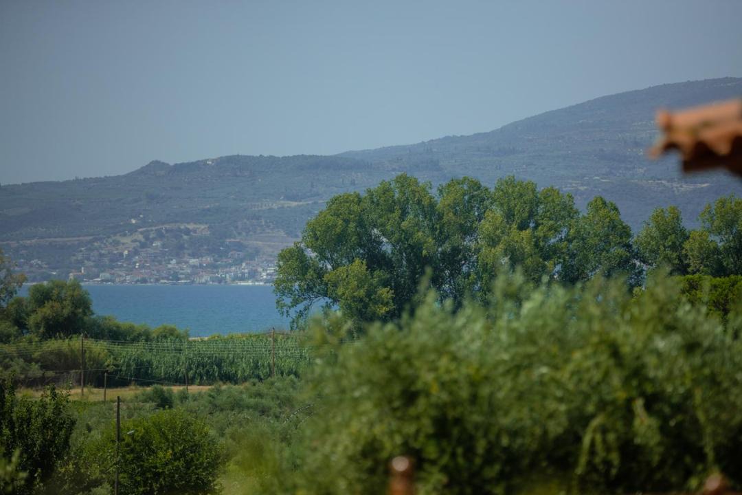 Photo of Others in Messini