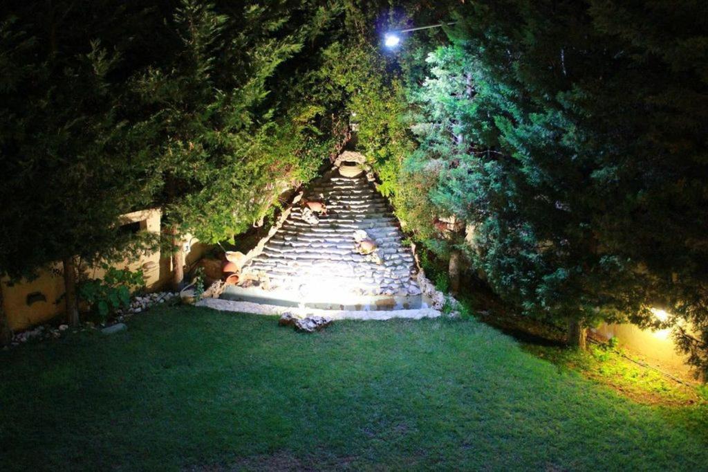 Photo of Others in Lagonissi