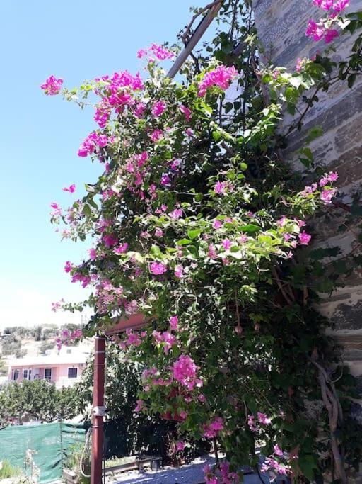 Photo of Outdoor in Marmari