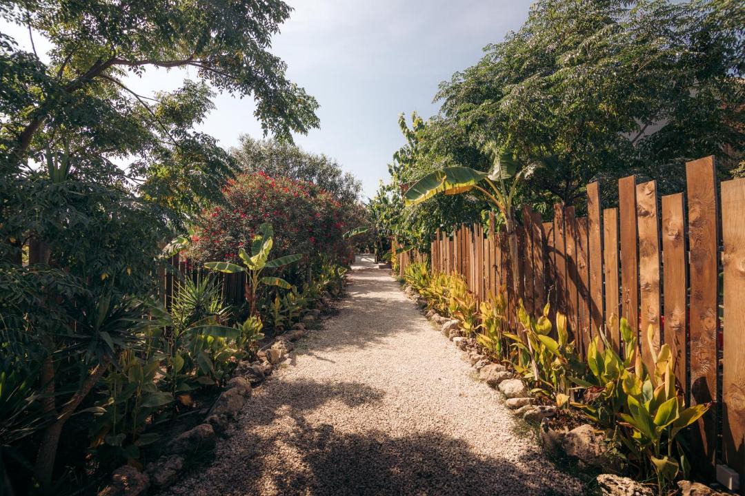 Photo of Outdoor in Marathias