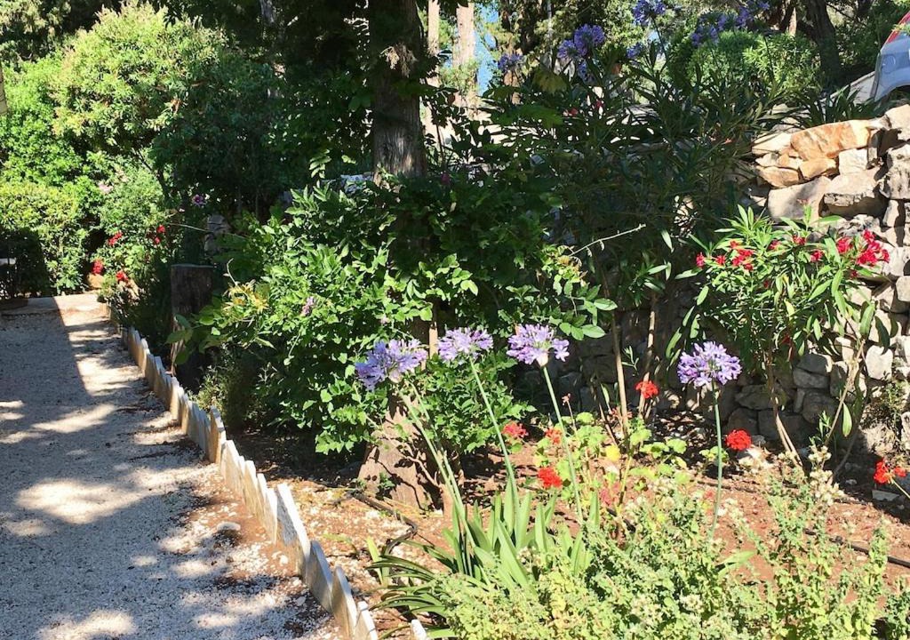 Photo of Others in Paxos