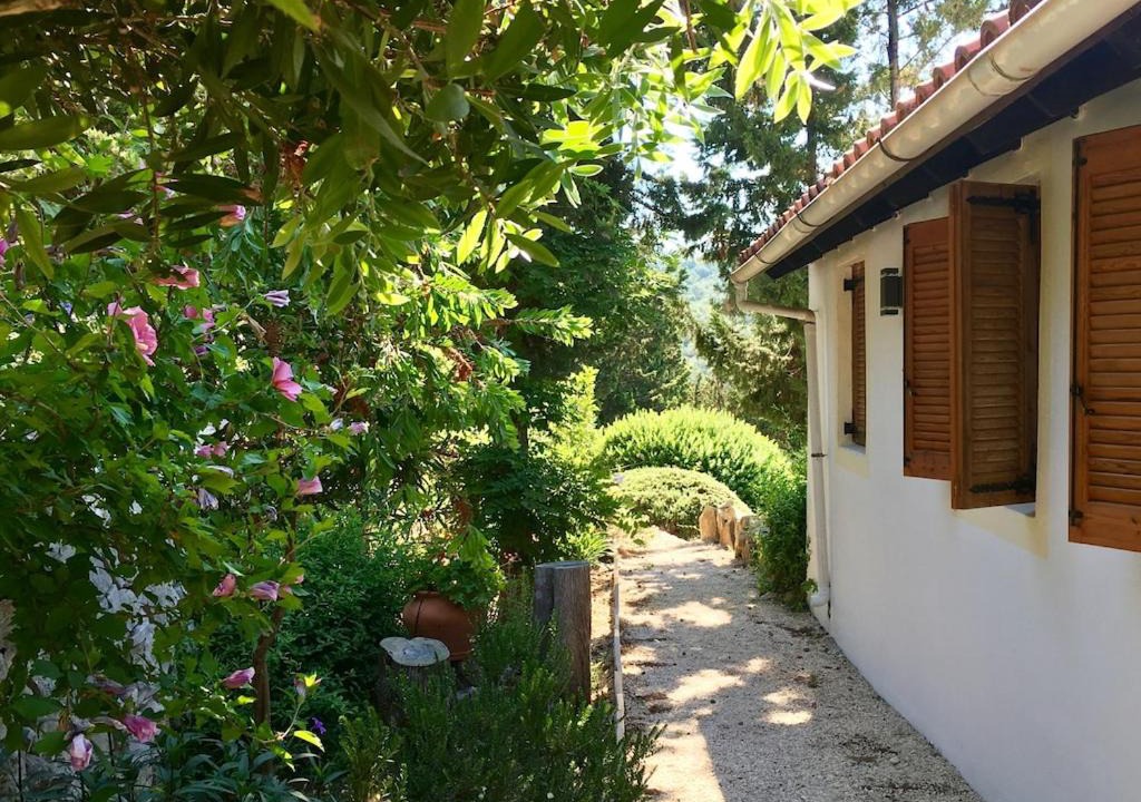Photo of Others in Paxos