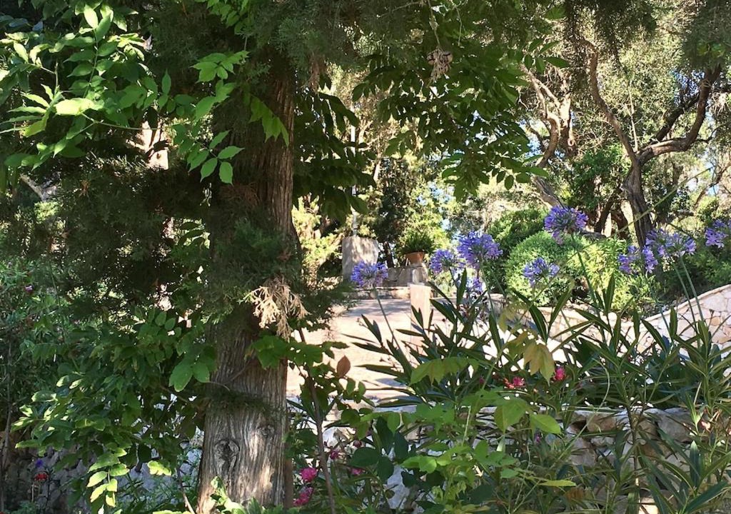 Photo of Others in Paxos