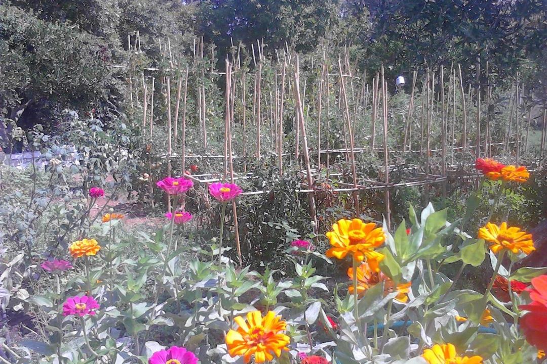 Photo of Outdoor in Karavostasi