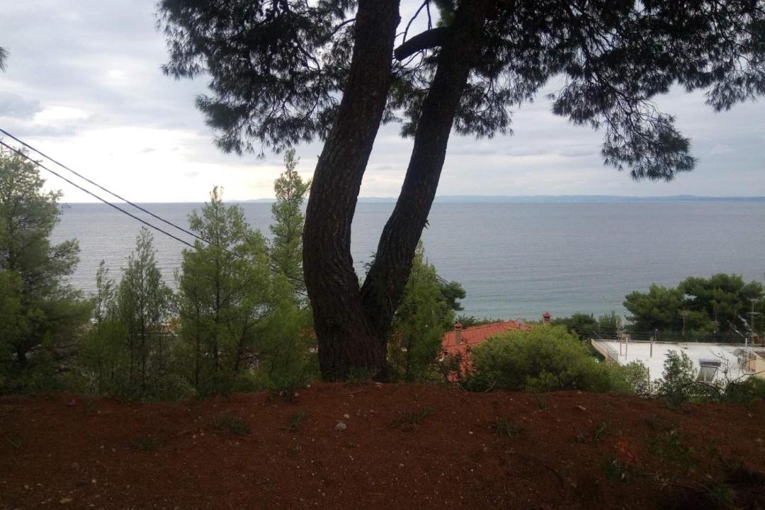 Photo of Others in Psakoudia