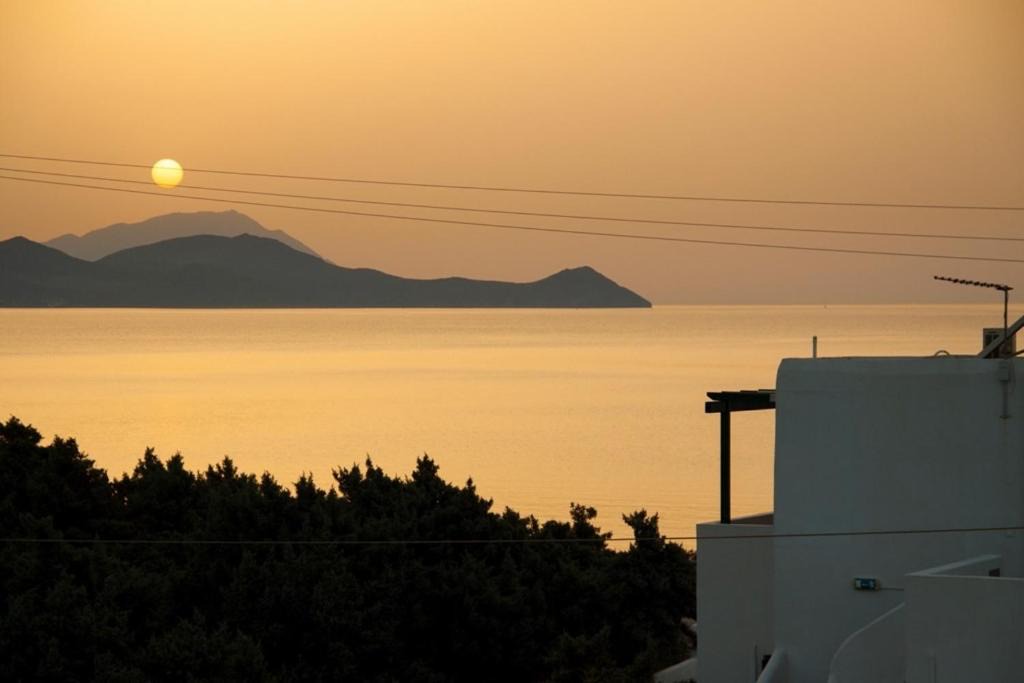 Photo of Others in Milos