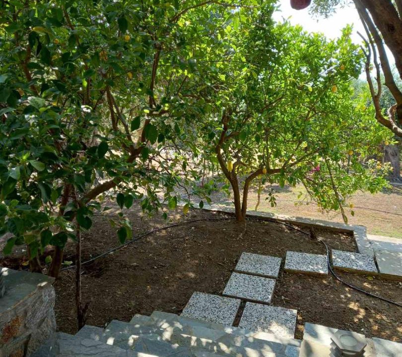 Photo of Others in Aristotelis