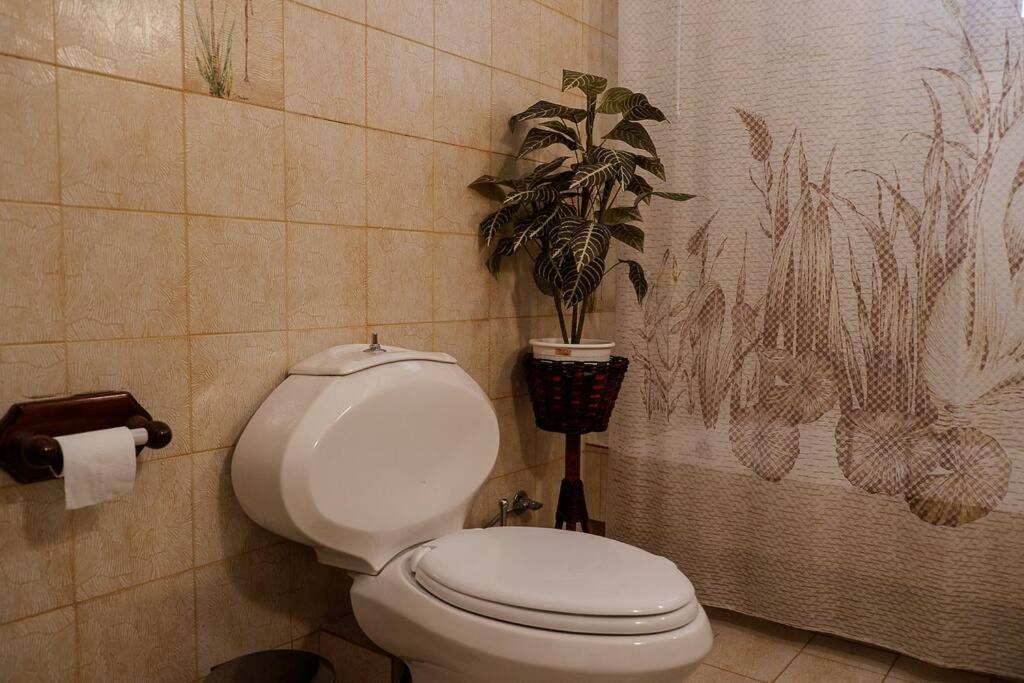 Photo of Bathroom in Saronikos