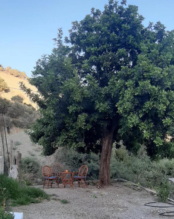 Photo of Outdoor in Faistos