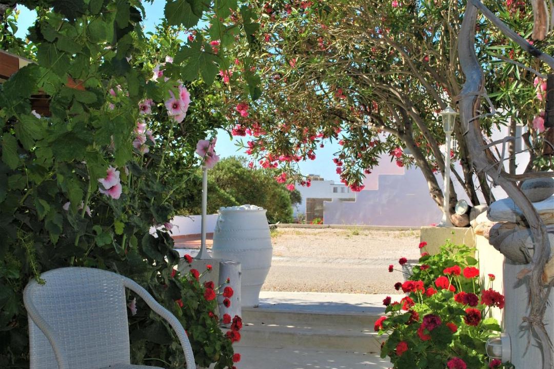 Photo of Others in Adamas