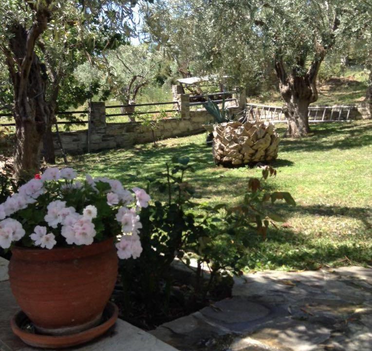 Photo of Others in Kato Vrontou