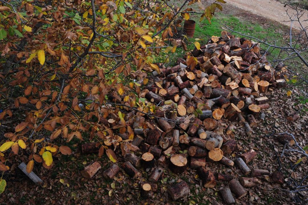 Photo of Outdoor in Mesaia Trikala