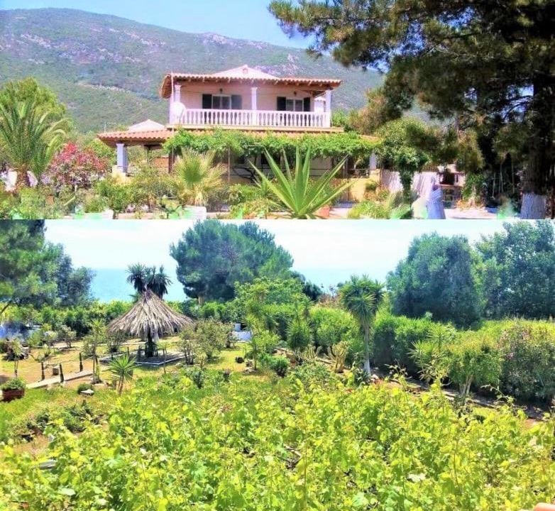 Photo of Outdoor in Agios Matthaios