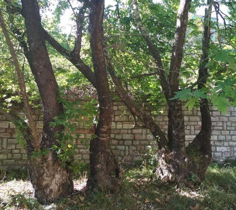 Photo of Outdoor in Karpenisi