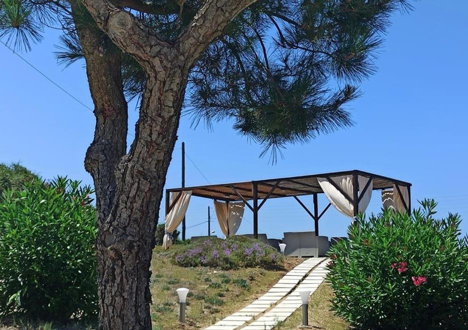 Photo of Buildings in Almiros Beach