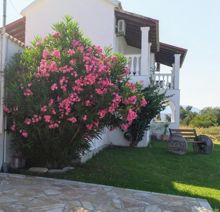Photo of Others in Agios Stefanos Avliotes