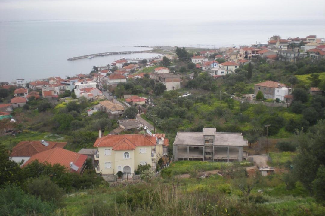 Photo of Others in Petalidi