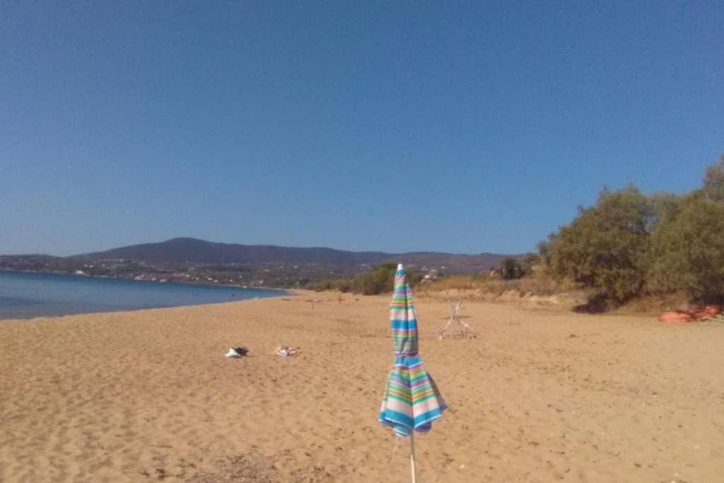 Photo of Others in Koroni