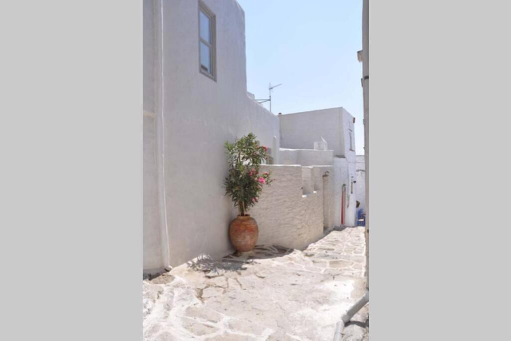 Photo of Others in Amorgos