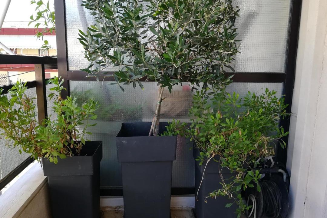 Photo of Patio Balcony in Agios Dimitrios