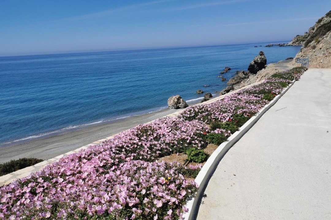 Photo of Others in Agios Vasileios