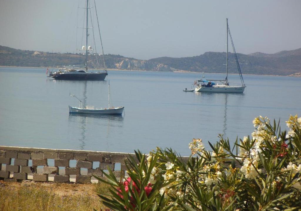 Photo of Others in Adamas