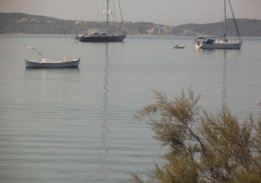 Photo of Others in Adamas