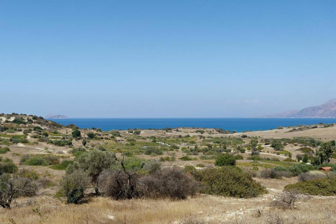 Photo of Others in Pitsidia