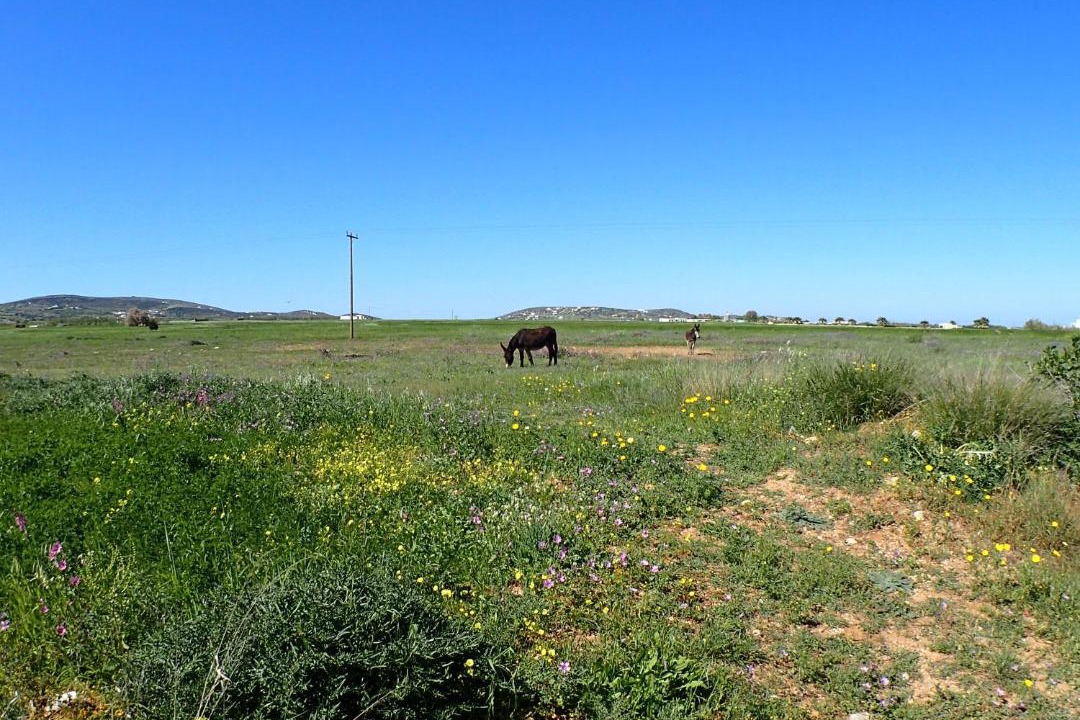 Photo of Outdoor in Logaras
